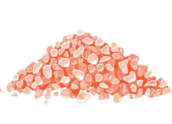 Starland%20Enterprises